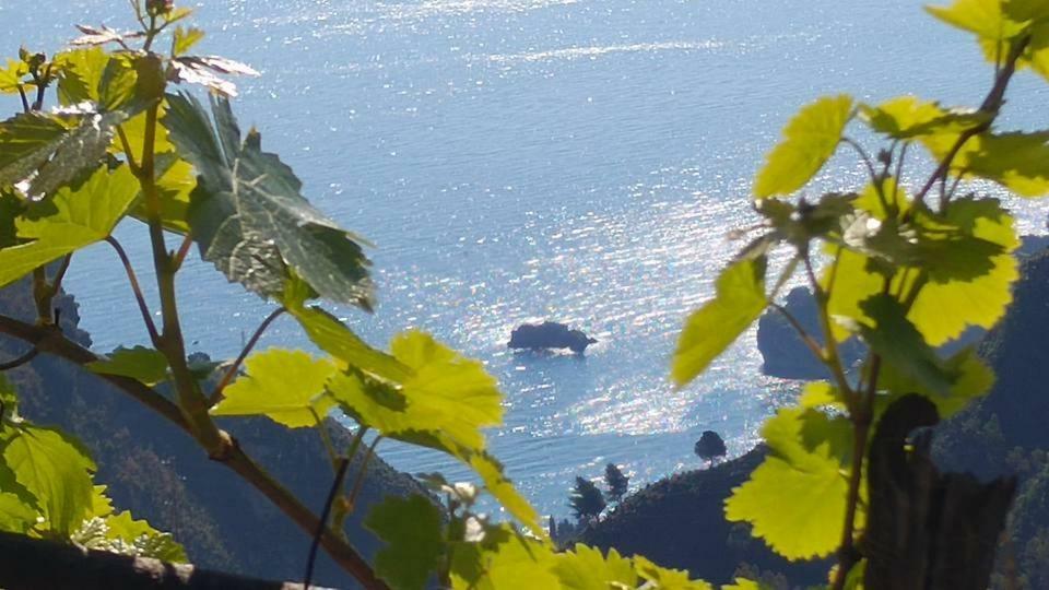 Casa Il Faro Villa Con Piscina Castelmola Exterior photo